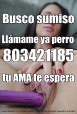 Sexo telefónico con chicas de tu ciudad