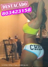 Sexo telefónico con chicas de tu ciudad NUMERO 8 0 3 - 4 2 3 - 1 5 8