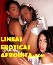 trio de travestis, sexo cam travestis, videochat transexuales 1 sms y linea caliente 803 558 660