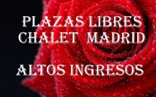 BUSCAMOS CHICAS EN LA MANSION