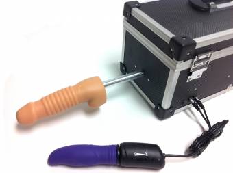 LoveBotz Juguetes Eróticos Caja de Almacenamiento Adecuado para Juegos Sexuales, Incluye Dos Accesorios - 5171 gr. Envíos a Ávila
