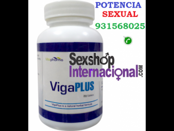 erector V I G A P L U S  telf 931568085