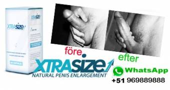 =sexshop internacional consultas y pedidos al cl 9648647783 tl 01 3338799