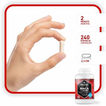 Maca en cápsulas, altamente concentrada con 4000 mg + L-arginina 1800 mg + vitaminas + zinc, 240 cápsulas para 2 meses, producto alemán de calidad, ¡ahora a un precio promocional y devolución gr