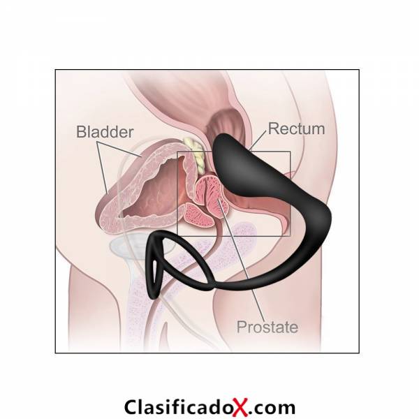 ClasificadoX - Anuncios clasificados relax y contenido erótico