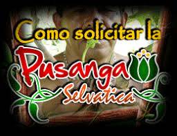 atraer al amor con pusanga JAEN telf 931568025