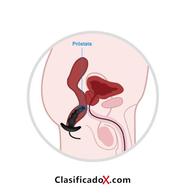 ClasificadoX - Anuncios clasificados relax y contenido erótico