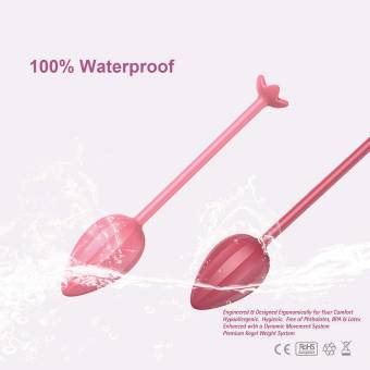 ACVIOO Bolas Chinas Suelo Pelvico de la Salud Juego de 5 Bolas Kegel Ejercitador con Mini Lubricantes Bolas Chinas Terapeuticas de Premium Silicona Medica para Mujer (Kegel bolas). Envíos a Le&oacut