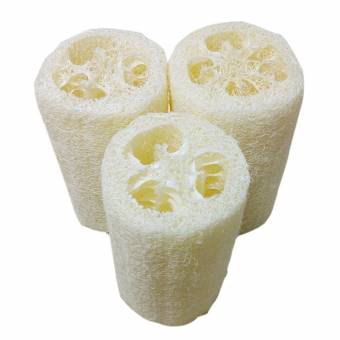 Vococla - 4 PIEZAS Masaje de Lufa Natural Baño de Esponja Ducha Spa Corporal Scrubber Exfoliante Depurador. Envíos a Lugo