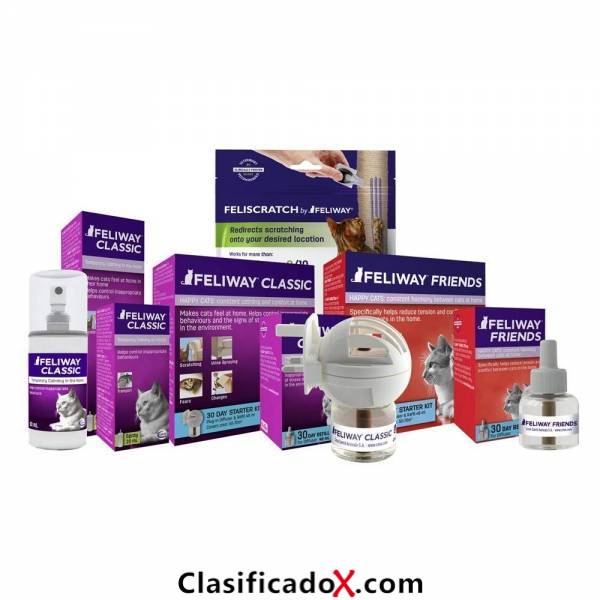 ClasificadoX - Anuncios clasificados relax y contenido erótico