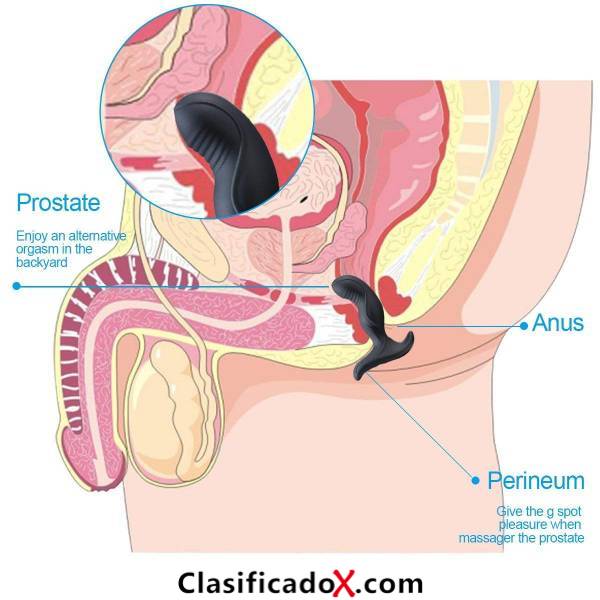 ClasificadoX - Anuncios clasificados relax y contenido erótico