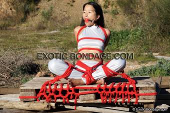 BUSCAMOS CHICAS PARA FOTOS BONDAGE Y SHIBARI