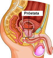 MASAJE PROSTATICO PARA CABALLEROS EVITA SER PRECOS ERECSIONES FUERTES