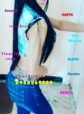 QUIERO SER LA NOVATA LINDA QUE TE HAGA FELIZ