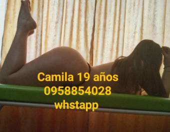 PRECIOS ACCESIBLE POR PANDEMIA ESCRIBENOS 0958854028 WHATSAP