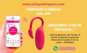 FLAMINGO CONTROL APP, VIBRACIÓN A LARGA DISTANCA
