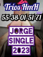 MACHO CORNEADOR PARA PAREJAS QUE BUSCAN TRIOS