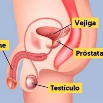 MASAJE PROSTATICO PARA CABALLEROS EVITA SER PRECOS ERECSIONES FUERTES