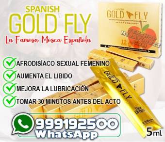 Spanish Gold Fly / Sexshop Miraflores