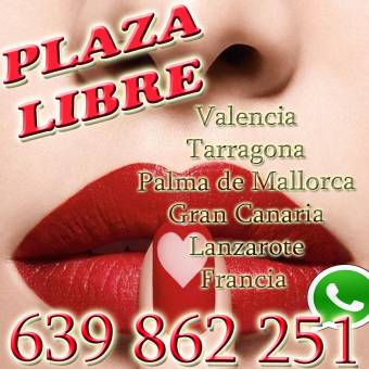 PLAZA LIBRE LANZAROTE GRAN CANARIA BARCELONA TARRAGONA IBIZA MALLORCA