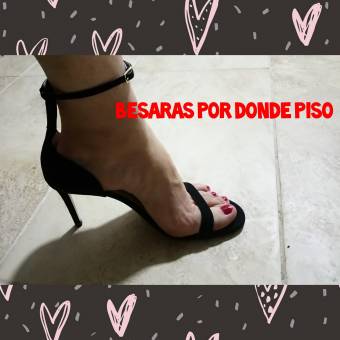 Solo pies