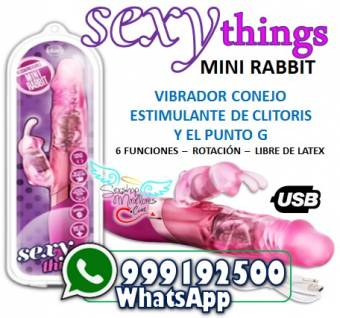 VIBRADOR MINI RABBIT RECARGABLE USB / SEXSHOP MIRAFLORES