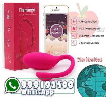 VIBRADORES APP / VIBRADORES A DISTANCIA / SEXSHOP MIRAFLORES