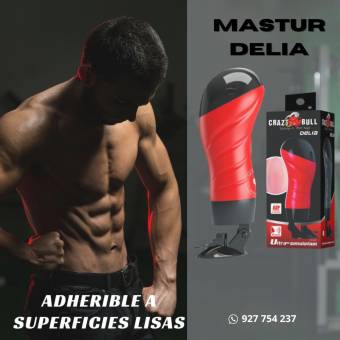 MASTUR DELIA