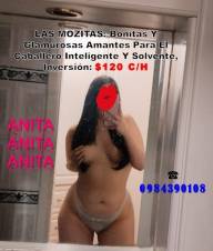 UNA CHICA CHÉVERE PARA EMPRESARIOS Y TURISTAS