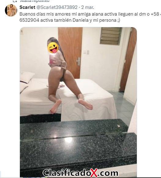 ClasificadoX - Anuncios clasificados relax y contenido erótico