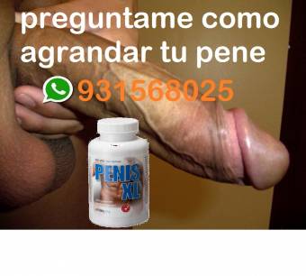 GOLDEN MAN MAS GRANDE 964864773