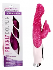 SEXSHOP69..WPP:950319453--PAITA -- PICKLY DOLPIN..