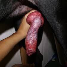 ????ROCIO MI GRAN FANTASÍA EROTICA Y SEXUAL CON BICHITOS E INSECTOS EN MI VAGINA TODO EL TIEMPO Y A CADA MOMENTO