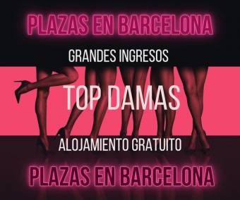 Plazas disponibles y altos ingresos