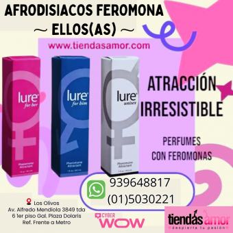 SUCCIONADOR PENGUIN- SEXSHOP