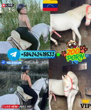 ZOO PORNO ONLINE/ CHICA ZOOFILIA PUTA ONLINE VENTA ESTADOS UNIDOS VIP