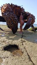 Vanesa estupenda ESPAÑOLA Toda una diosa fogosa y lujuria para ti Puerto de santa María